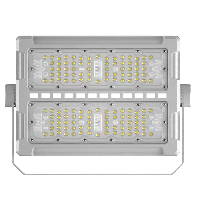 SLS110-100W-2
